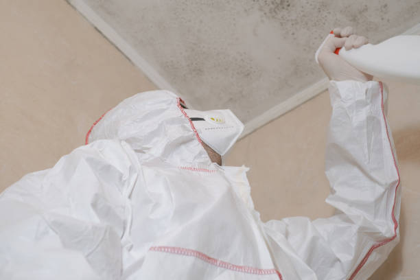 Best Toxic Mold Removal  in Hampstead, NC