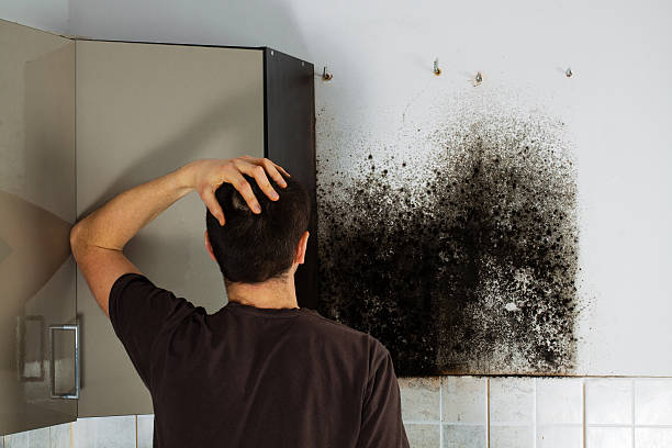 Best Crawl Space Mold Removal  in Hampstead, NC